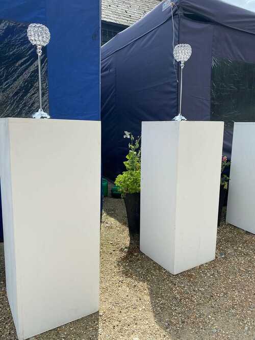 Display Event Wedding Plinths FOR HIRE