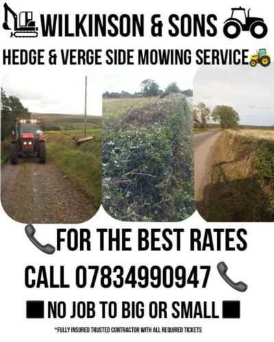 Tractor Mounted Flail Hedge service