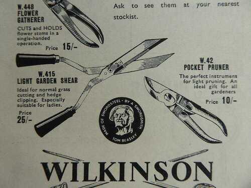 WILKINSON SHEARS ADVERT PRUNERS STYLISH 1951 ADVERT ORIGINAL and ILLUSTRATED