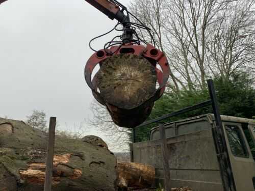 Large Timber/log Grab Forestry Hiab Crane