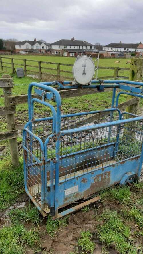 GHL Lamb weigh crate - good working order