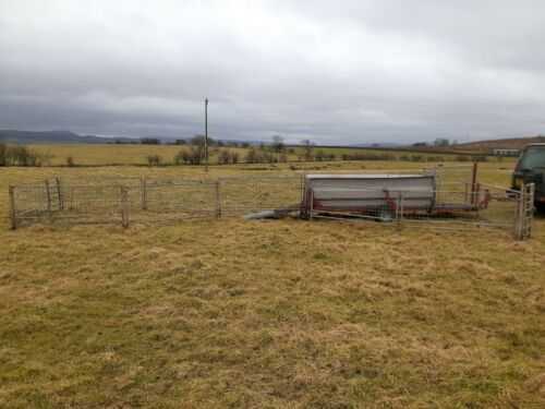 Mobile sheep race pen system dosing clipping scanning sorting pen field pen