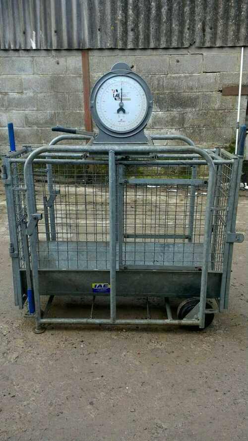 Sheep/Pig/Calf weighing scales, IAE, excellent condition, hardly used