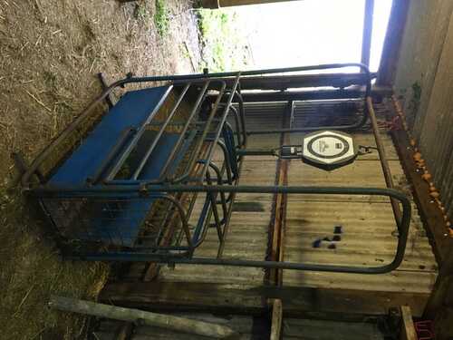 GHL lamb weighing crate