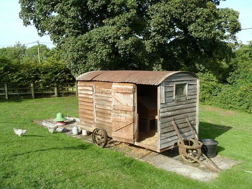 Vintage Shepherds Hut 1900s now chicken shed