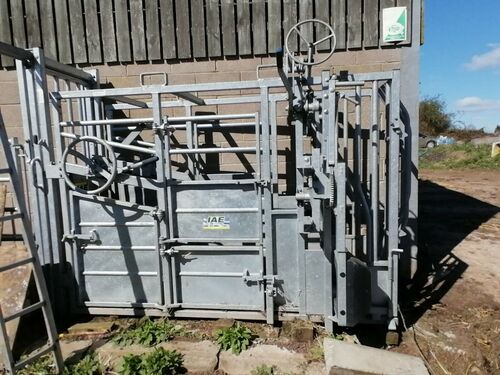 IAE cattle crush scoop gate and race