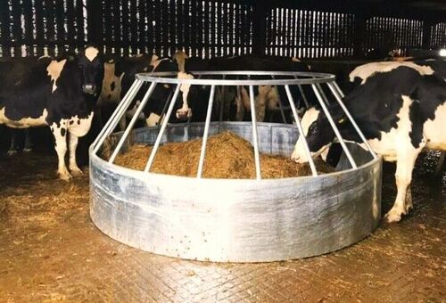 Ring feeder cattle galvanised heavy duty large minimal waste